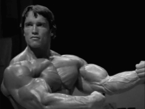 Arnold Schwarzenegger gif Arnold Schwarzenegger gif